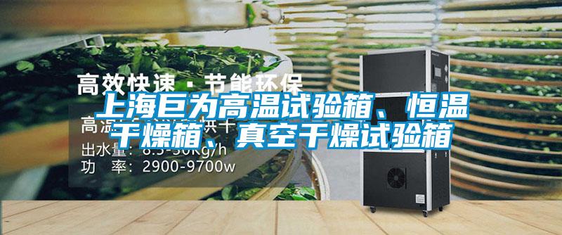 上海巨為高溫試驗(yàn)箱、恒溫干燥箱、真空干燥試驗(yàn)箱