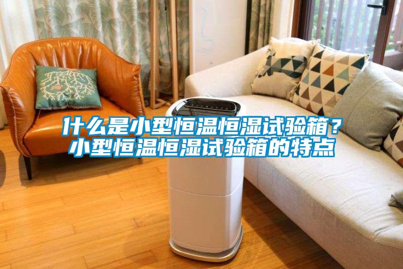 什么是小型恒溫恒濕試驗(yàn)箱？小型恒溫恒濕試驗(yàn)箱的特點(diǎn)