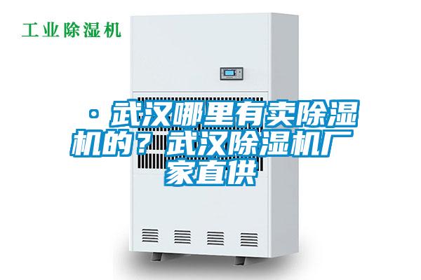 ·武漢哪里有賣除濕機(jī)的？武漢除濕機(jī)廠家直供