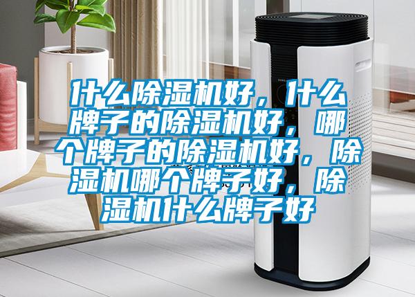 什么除濕機(jī)好，什么牌子的除濕機(jī)好，哪個(gè)牌子的除濕機(jī)好，除濕機(jī)哪個(gè)牌子好，除濕機(jī)什么牌子好