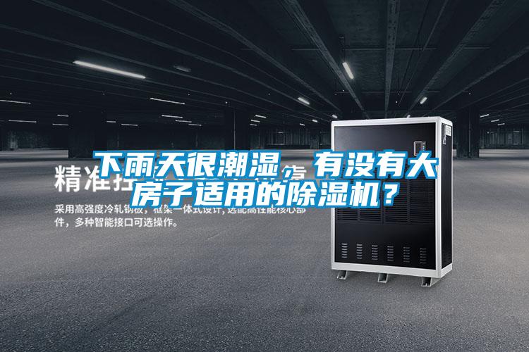 下雨天很潮濕，有沒有大房子適用的除濕機(jī)？