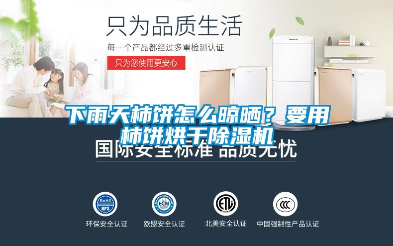 下雨天柿餅怎么晾曬？要用柿餅烘干除濕機(jī)
