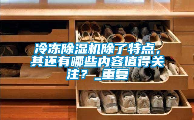 冷凍除濕機(jī)除了特點(diǎn)，其還有哪些內(nèi)容值得關(guān)注？_重復(fù)