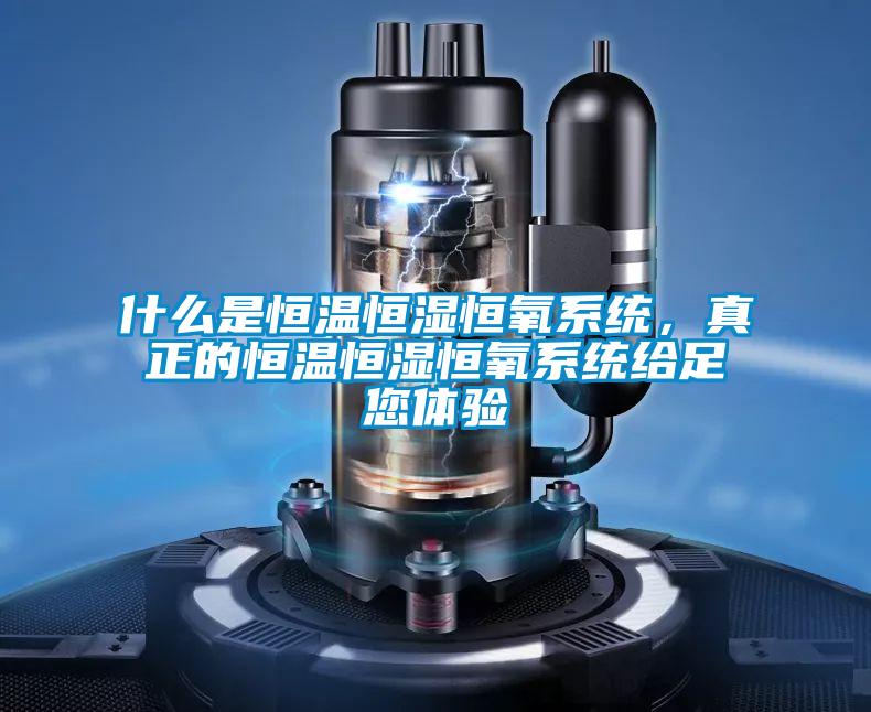 什么是恒溫恒濕恒氧系統(tǒng)，真正的恒溫恒濕恒氧系統(tǒng)給足您體驗(yàn)