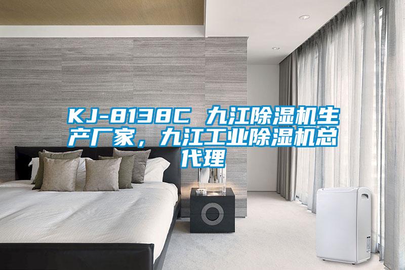 KJ-8138C 九江除濕機生產(chǎn)廠家，九江工業(yè)除濕機總代理