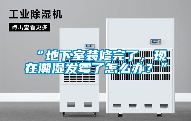 “地下室裝修完了，現(xiàn)在潮濕發(fā)霉了怎么辦？”