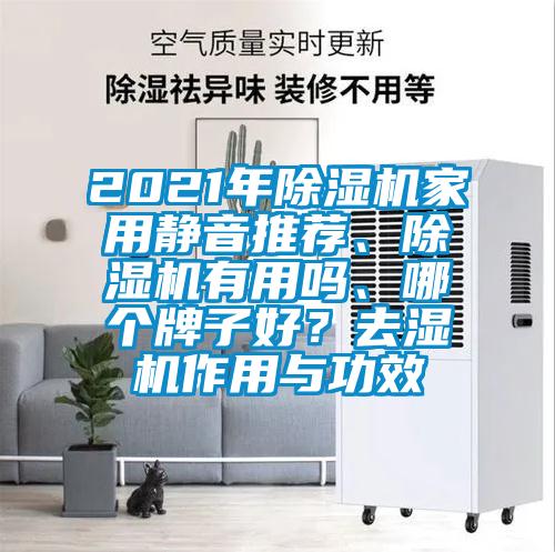 2021年除濕機(jī)家用靜音推薦、除濕機(jī)有用嗎、哪個(gè)牌子好？去濕機(jī)作用與功效