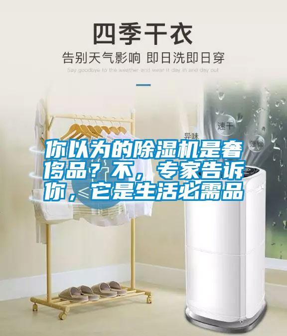 你以為的除濕機(jī)是奢侈品？不，專家告訴你，它是生活必需品
