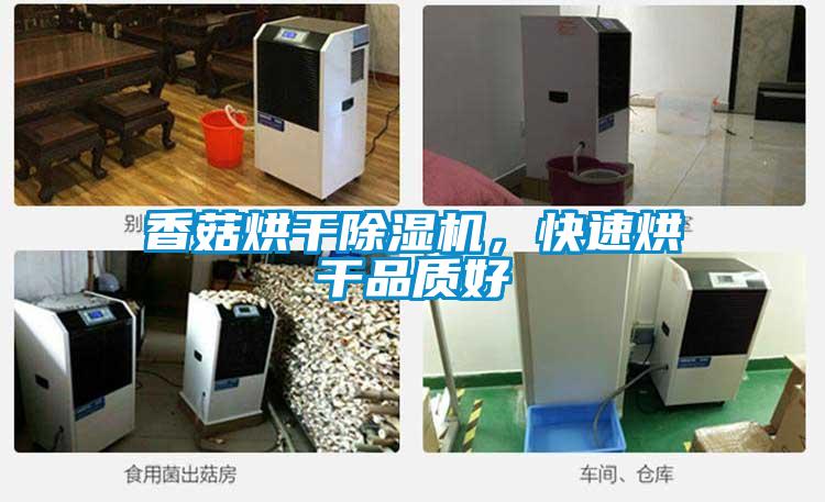 香菇烘干除濕機，快速烘干品質(zhì)好