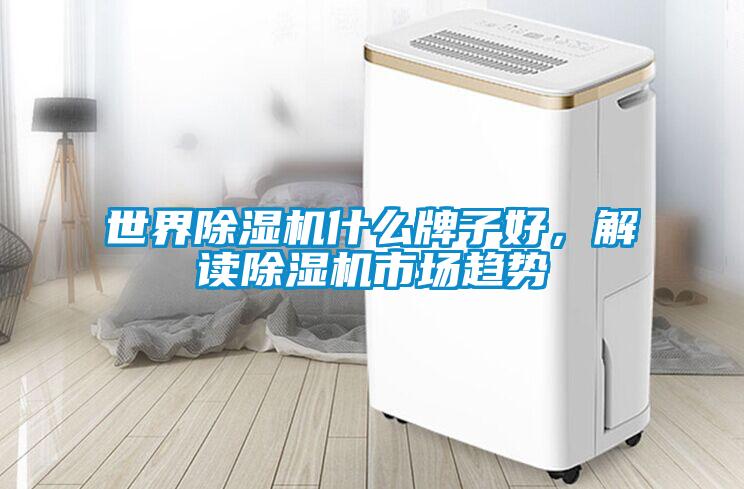 世界除濕機(jī)什么牌子好，解讀除濕機(jī)市場(chǎng)趨勢(shì)