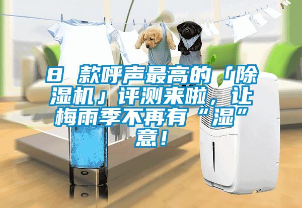 8 款呼聲最高的「除濕機(jī)」評測來啦，讓梅雨季不再有“濕”意！