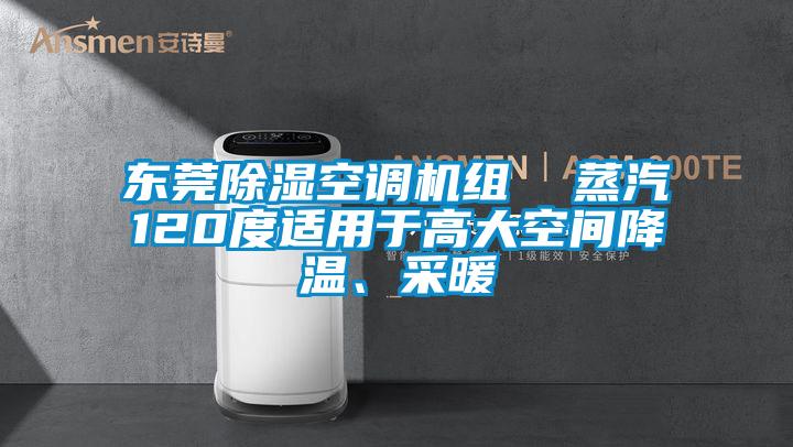 東莞除濕空調(diào)機(jī)組  蒸汽120度適用于高大空間降溫、采暖