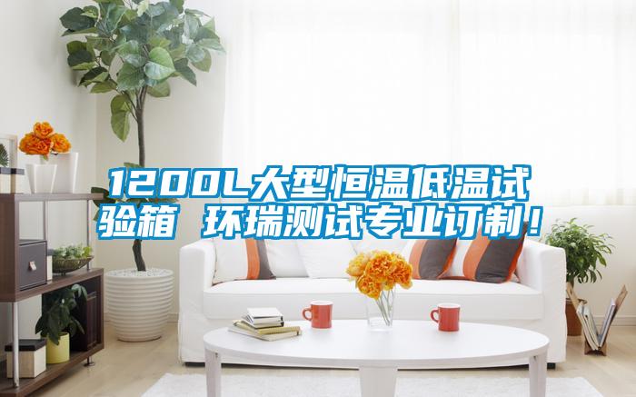 1200L大型恒溫低溫試驗(yàn)箱 環(huán)瑞測試專業(yè)訂制！