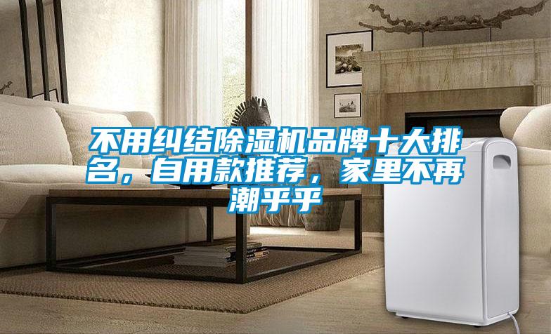 不用糾結(jié)除濕機(jī)品牌十大排名，自用款推薦，家里不再潮乎乎
