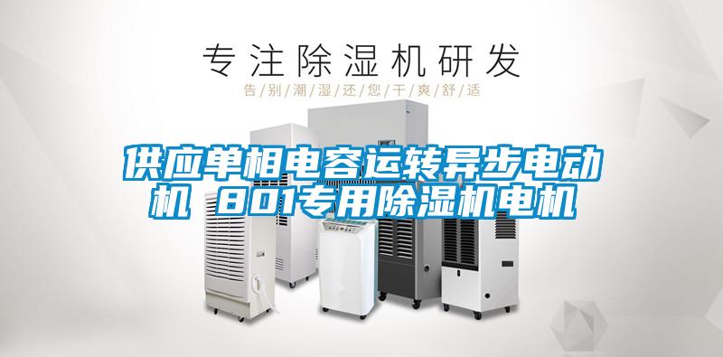 供應(yīng)單相電容運(yùn)轉(zhuǎn)異步電動機(jī) 801專用除濕機(jī)電機(jī)