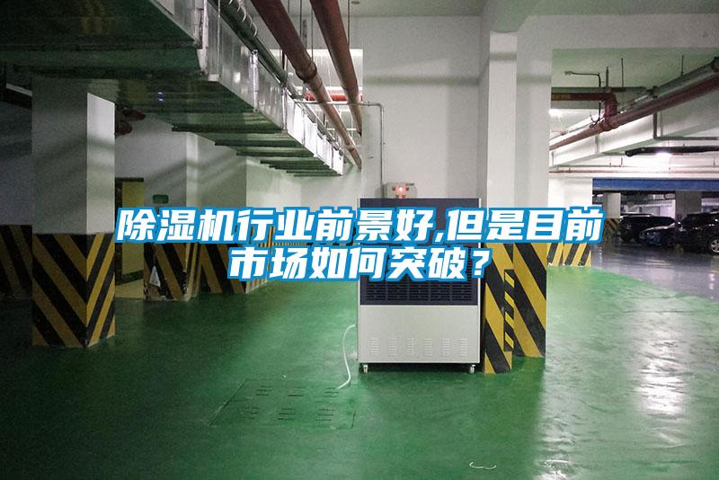 除濕機(jī)行業(yè)前景好,但是目前市場(chǎng)如何突破？