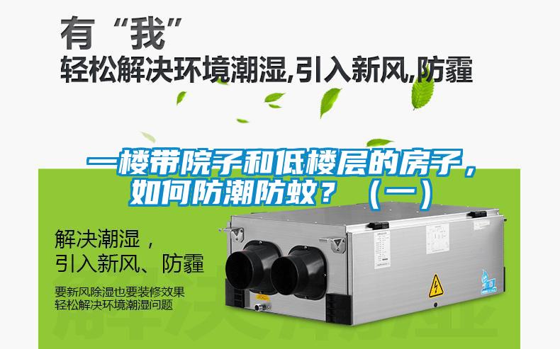 一樓帶院子和低樓層的房子，如何防潮防蚊？（一）