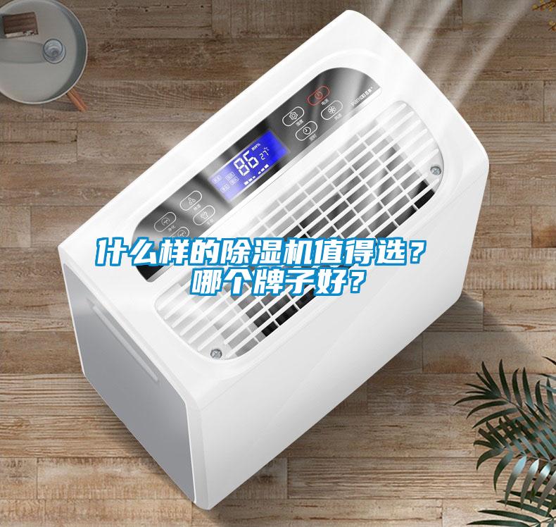 什么樣的除濕機(jī)值得選？ 哪個(gè)牌子好？