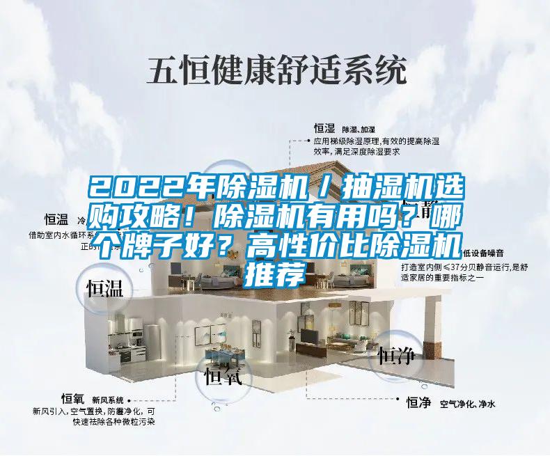 2022年除濕機(jī)／抽濕機(jī)選購攻略！除濕機(jī)有用嗎？哪個(gè)牌子好？高性價(jià)比除濕機(jī)推薦