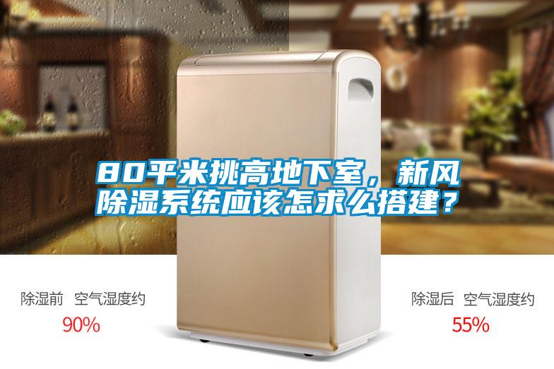 80平米挑高地下室，新風(fēng)除濕系統(tǒng)應(yīng)該怎求么搭建？