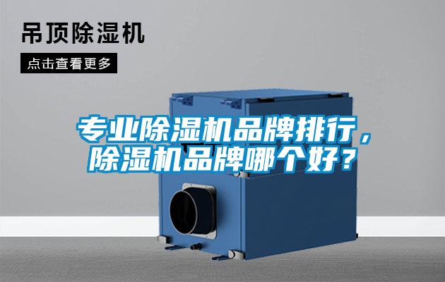 專業(yè)除濕機(jī)品牌排行，除濕機(jī)品牌哪個好？