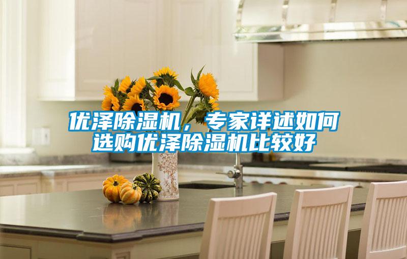 優(yōu)澤除濕機，專家詳述如何選購優(yōu)澤除濕機比較好