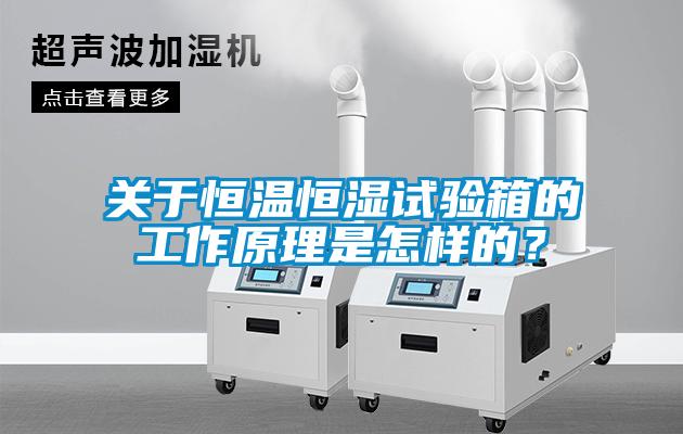關(guān)于恒溫恒濕試驗(yàn)箱的工作原理是怎樣的？