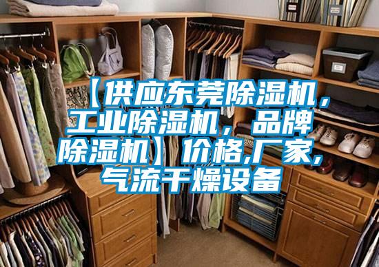 【供應(yīng)東莞除濕機，工業(yè)除濕機，品牌除濕機】價格,廠家,氣流干燥設(shè)備