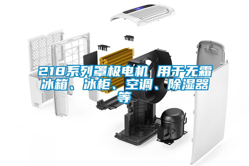 218系列罩極電機(jī) 用于無(wú)霜冰箱、冰柜、空調(diào)、除濕器等