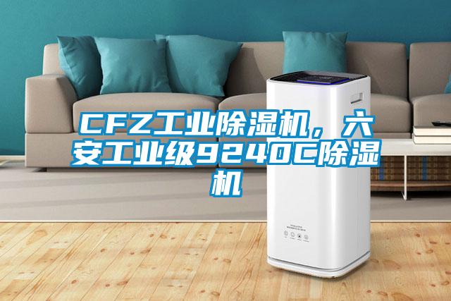 CFZ工業(yè)除濕機，六安工業(yè)級9240C除濕機