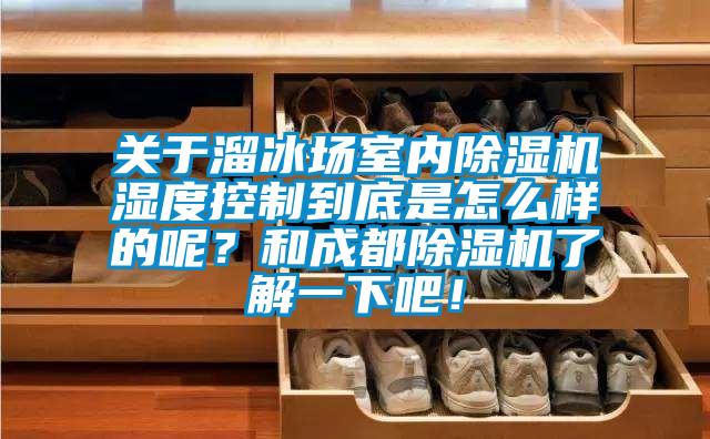 關(guān)于溜冰場(chǎng)室內(nèi)除濕機(jī)濕度控制到底是怎么樣的呢？和成都除濕機(jī)了解一下吧！