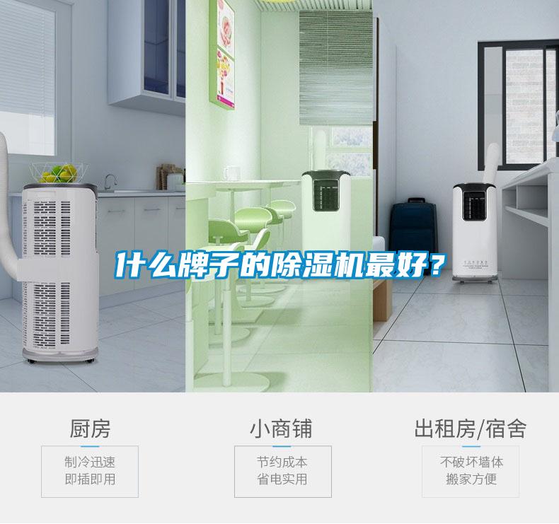 什么牌子的除濕機最好？
