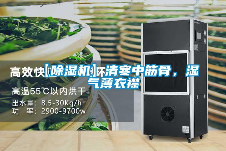 【除濕機】清寒中筋骨，濕氣薄衣襟