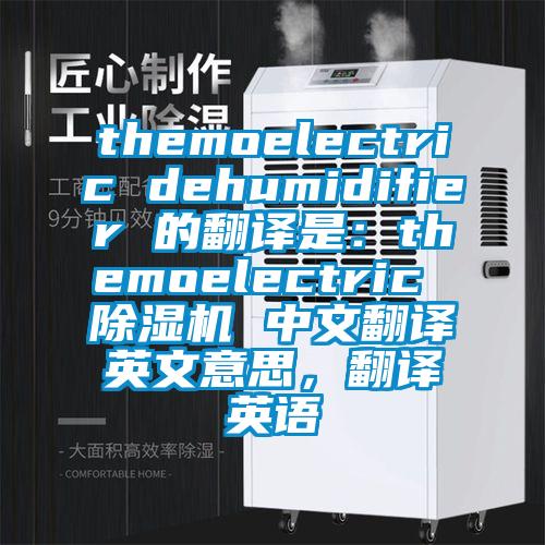themoelectric dehumidifier 的翻譯是：themoelectric 除濕機 中文翻譯英文意思，翻譯英語