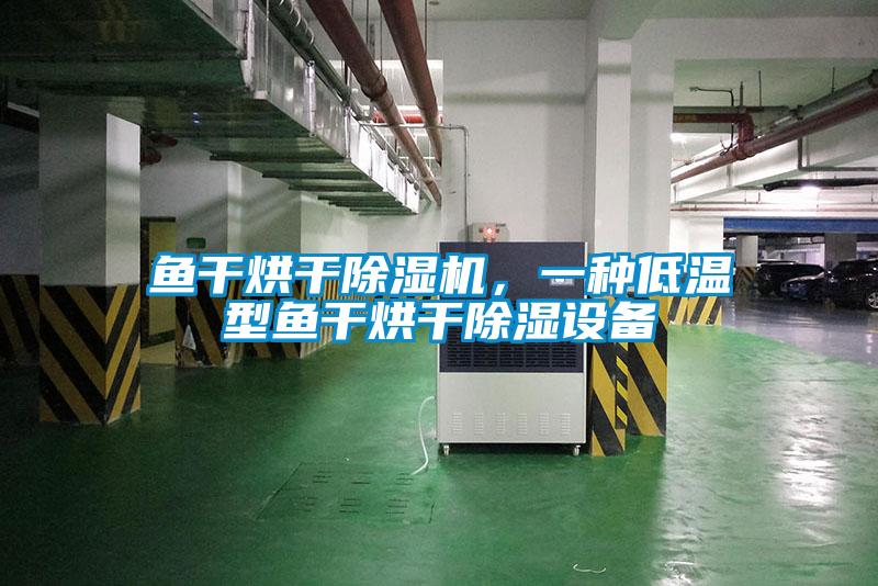 魚(yú)干烘干除濕機(jī)，一種低溫型魚(yú)干烘干除濕設(shè)備