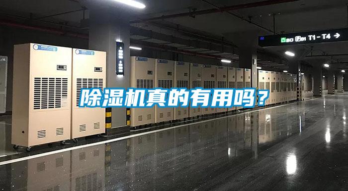 除濕機(jī)真的有用嗎？