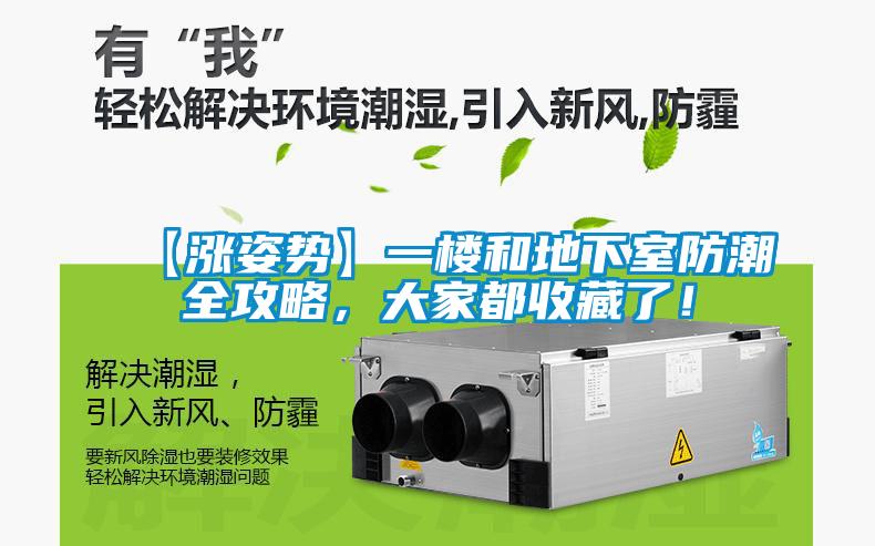 【漲姿勢】一樓和地下室防潮全攻略，大家都收藏了！