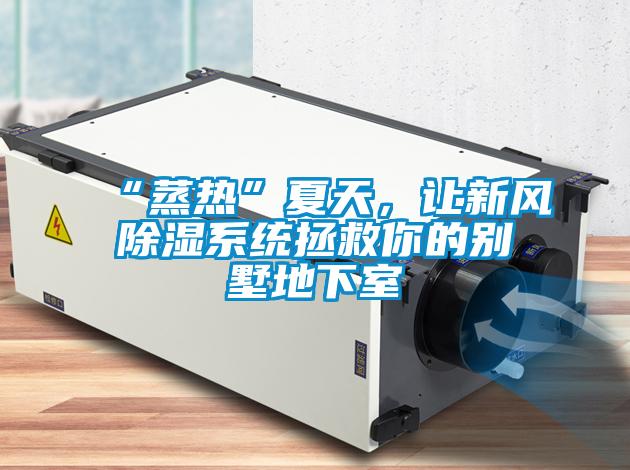 “蒸熱”夏天，讓新風(fēng)除濕系統(tǒng)拯救你的別墅地下室