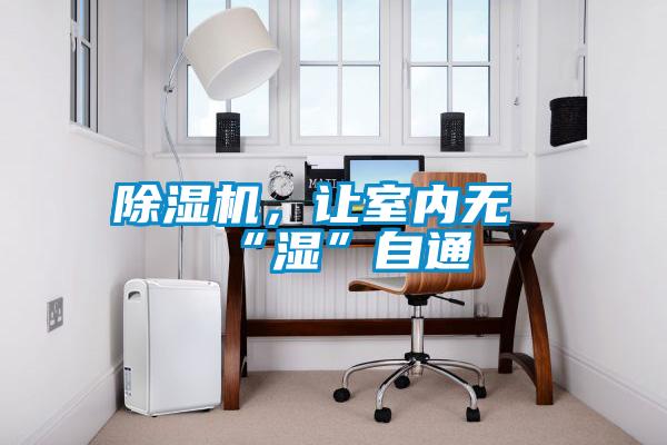 除濕機，讓室內(nèi)無“濕”自通