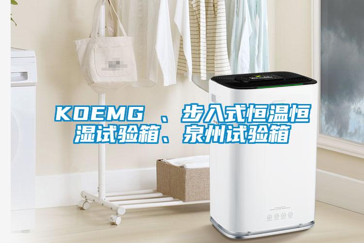 KOEMG 、步入式恒溫恒濕試驗(yàn)箱、泉州試驗(yàn)箱