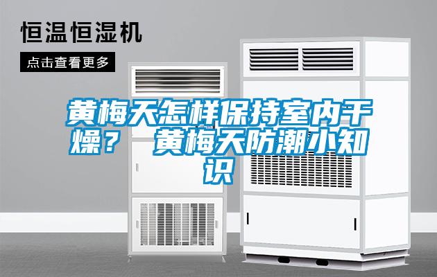 黃梅天怎樣保持室內(nèi)干燥？ 黃梅天防潮小知識