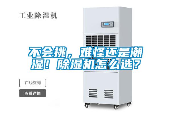 不會(huì)挑，難怪還是潮濕！除濕機(jī)怎么選？