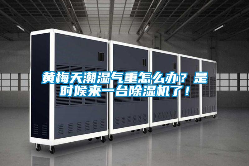黃梅天潮濕氣重怎么辦？是時候來一臺除濕機了！