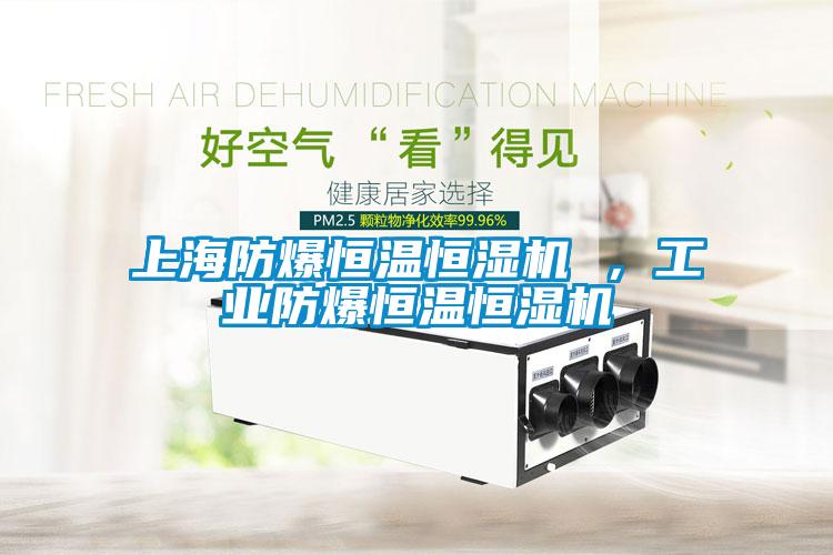 上海防爆恒溫恒濕機 ，工業(yè)防爆恒溫恒濕機
