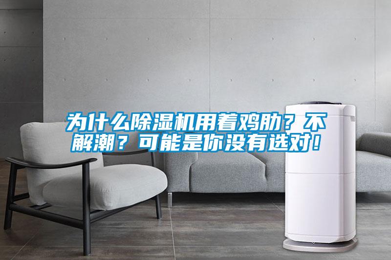 為什么除濕機用著雞肋？不解潮？可能是你沒有選對！