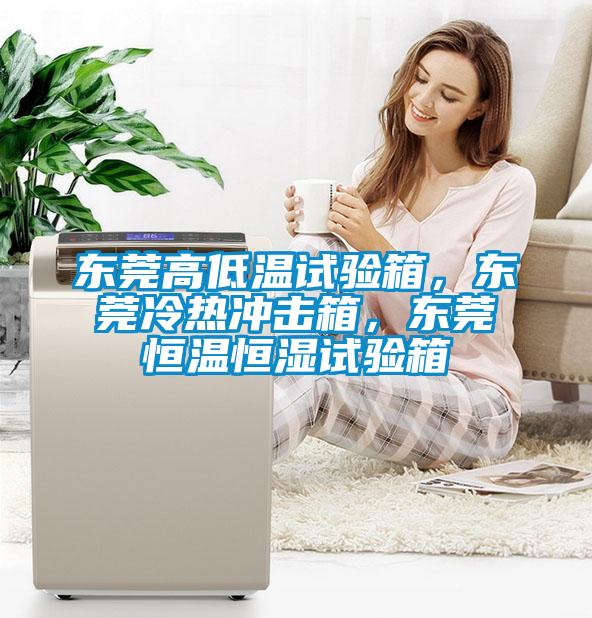 東莞高低溫試驗箱，東莞冷熱沖擊箱，東莞恒溫恒濕試驗箱