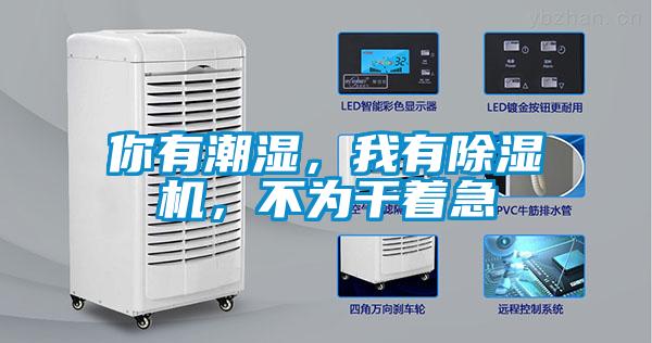 你有潮濕，我有除濕機，不為干著急