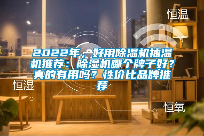 2022年，好用除濕機(jī)抽濕機(jī)推薦：除濕機(jī)哪個(gè)牌子好？真的有用嗎？性價(jià)比品牌推薦