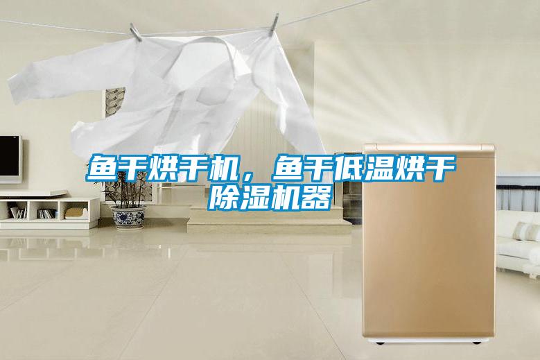 魚(yú)干烘干機(jī)，魚(yú)干低溫烘干除濕機(jī)器