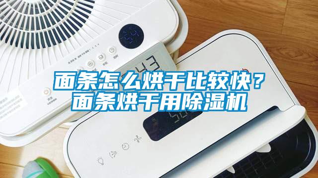 面條怎么烘干比較快？面條烘干用除濕機(jī)